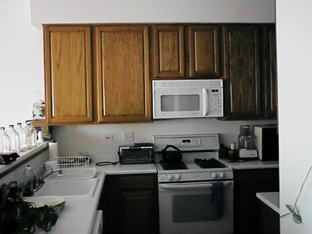 Kitchen from the Family Room