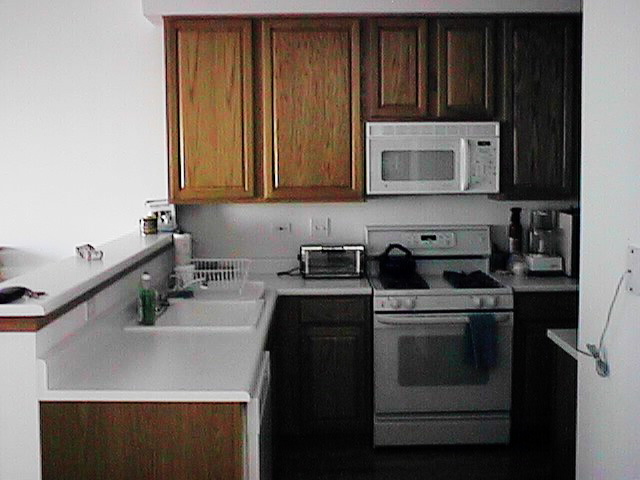 Kitchen from the Family Room