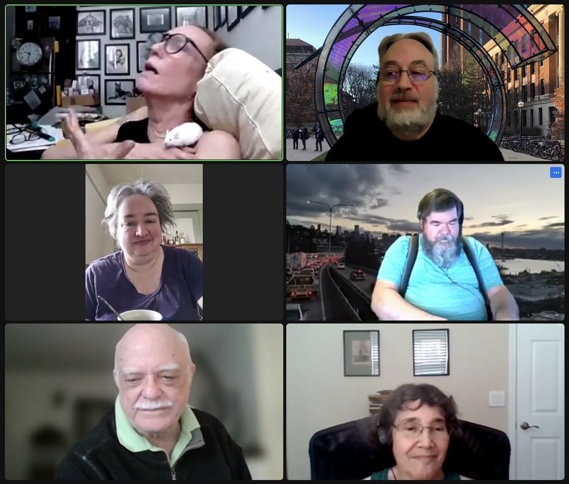 Zoom participants, left to right and top to bottom: